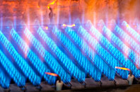 Pannal gas fired boilers